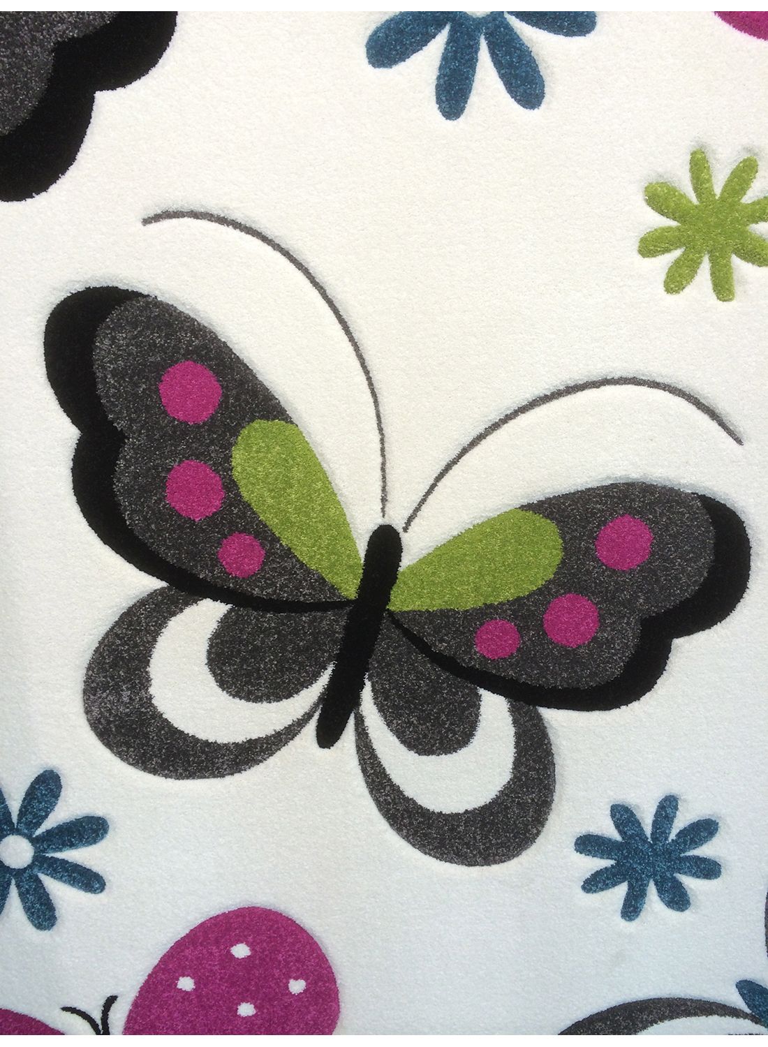 KIDS PAPILLONS