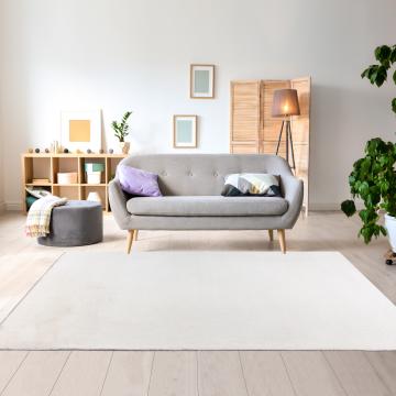 SUPERSOFT LL