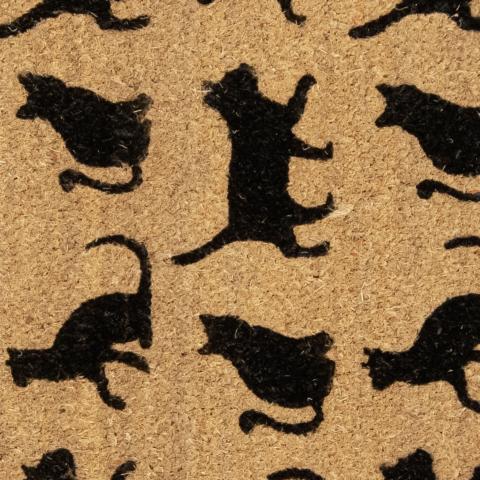CATWALK