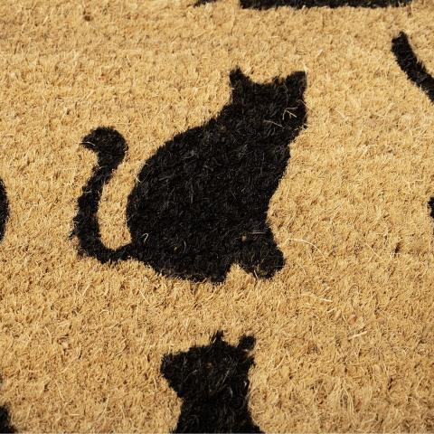 CATWALK