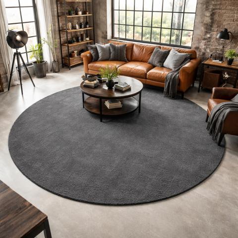 Tapis rond LYN10 LAVABLE Autre