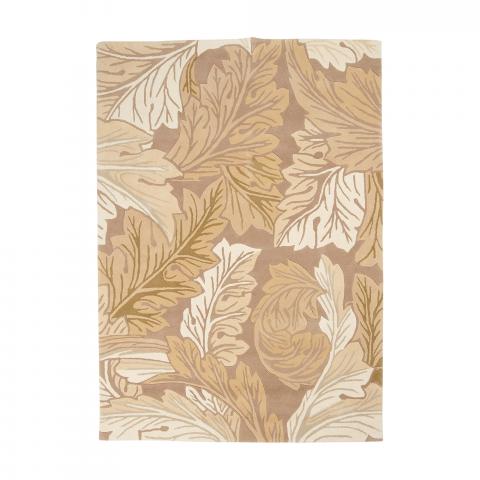 ACANTHUS
