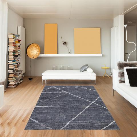 Tapis gris clair LUXURY Gris