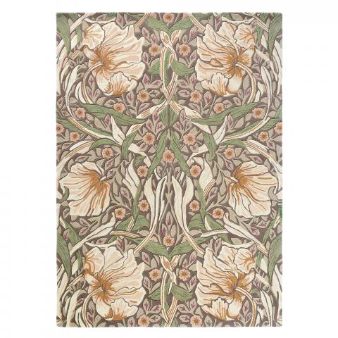 PIMPERNEL