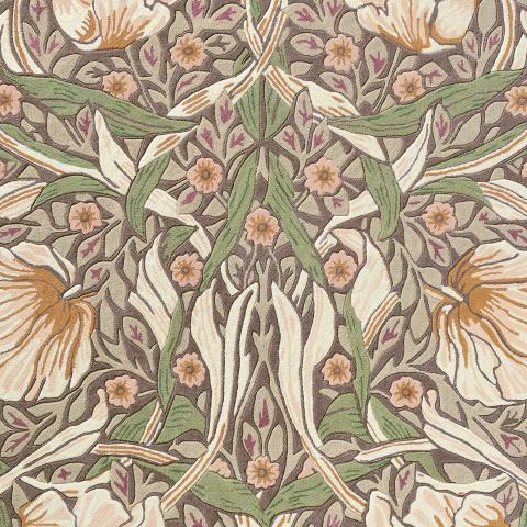PIMPERNEL