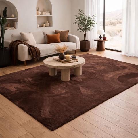 Tapis moderne LYN50 Marron