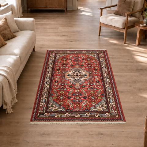 Tapis d'Orient HAMADAN 178 Rouge