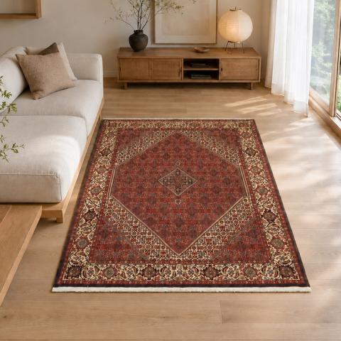 Tapis d'Orient BIDJAR 3 Rouge