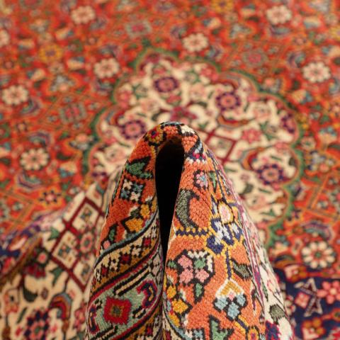 TABRIZ B