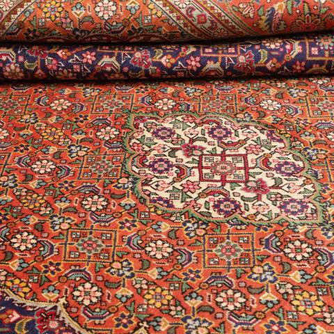 TABRIZ B
